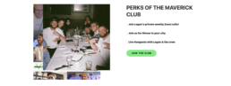 perks-ofthe-maverick-club-logan-paul